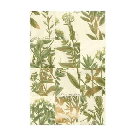 Johanns Garden - Garden Grid III Print Wall Art By Johann Weinmann