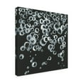 thumbnail image 2 of Trademark Fine Art 'Bubbles II' Canvas Art by Chris Paschke, 2 of 3