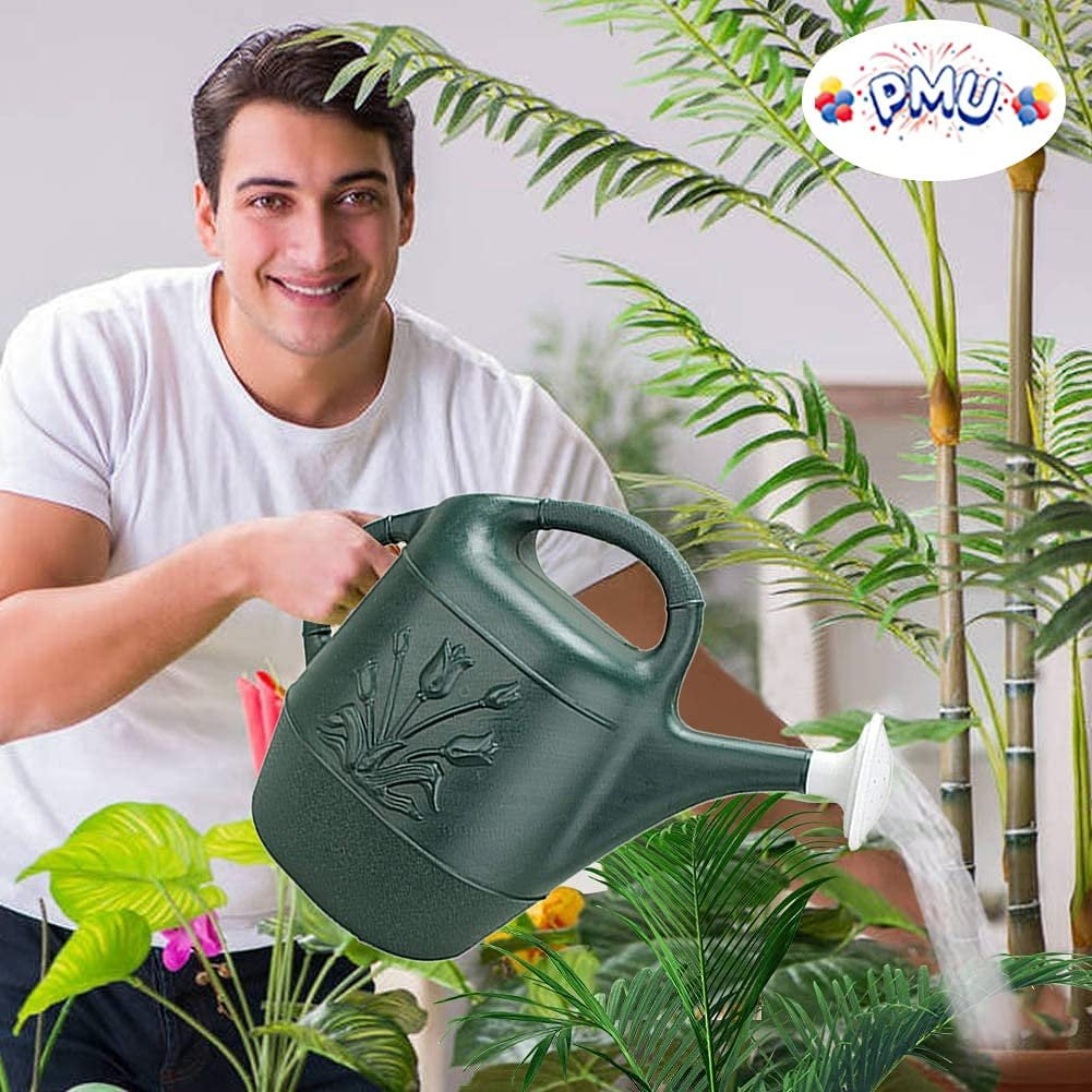 Novelty 2 Gallon Watering Can - Hunter Green 1/Pkg Pkg/6 — Residential Use, Standard Application