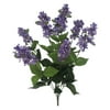Better Homes&gardens Purple Lilac Bush