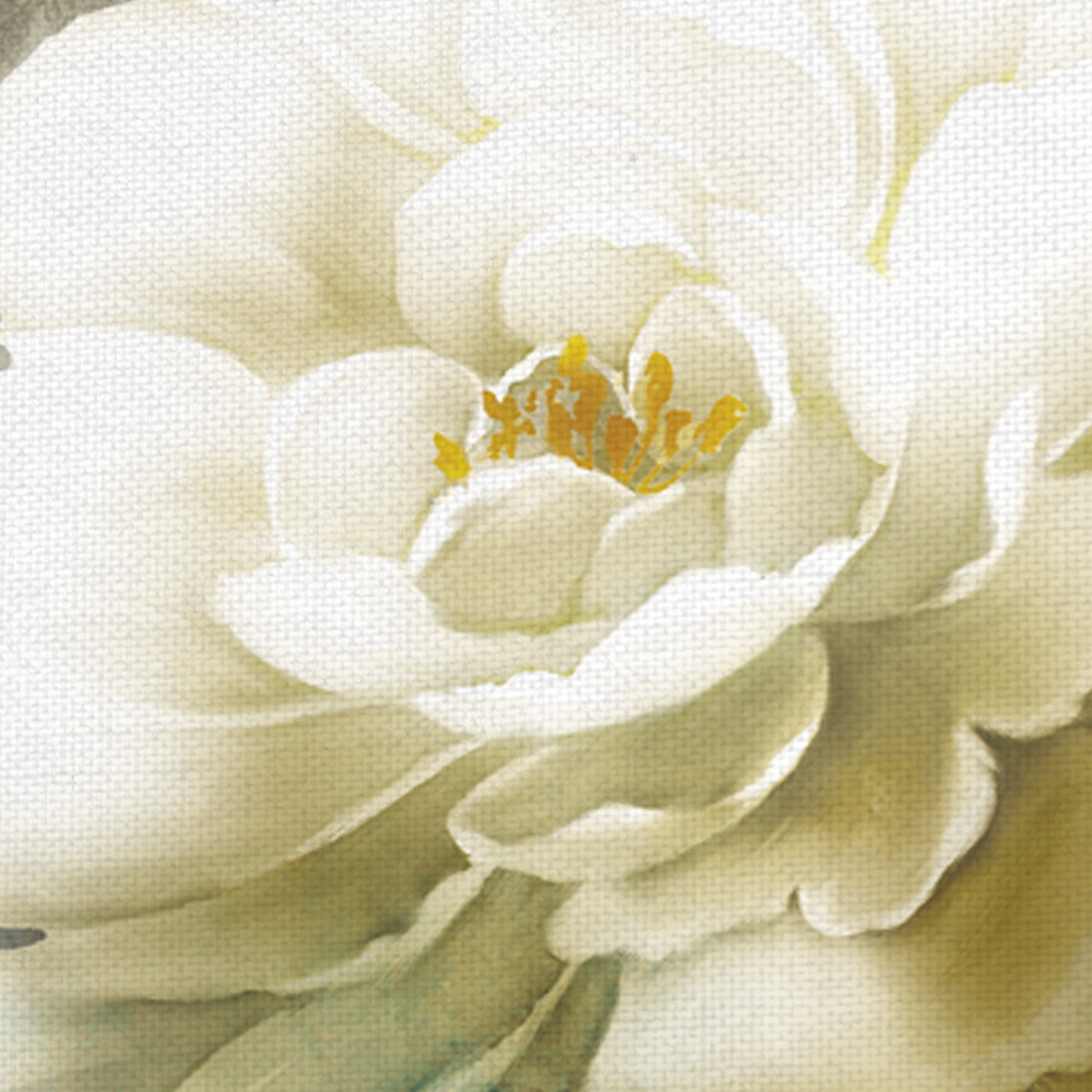 Soft Spring II by Conrad Knutsen Wrapped Canvas Painting Art Print