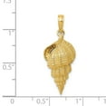 thumbnail image 2 of 14k Yellow Gold Conch Shell Pendant - 2.2 Grams - Measures 30x11mm Wide, 2 of 2