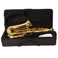 thumbnail image 4 of Tcbosik Stylish Mid-range Alto Drop E Lacquered Golden Saxophone Painted Golden Tube with Carve Patterns, 4 of 8