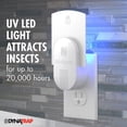 thumbnail image 4 of Fruit Fly, Gnat, Moth and Fly Discreet Outlet Trap - 3 PACK, 4 of 8