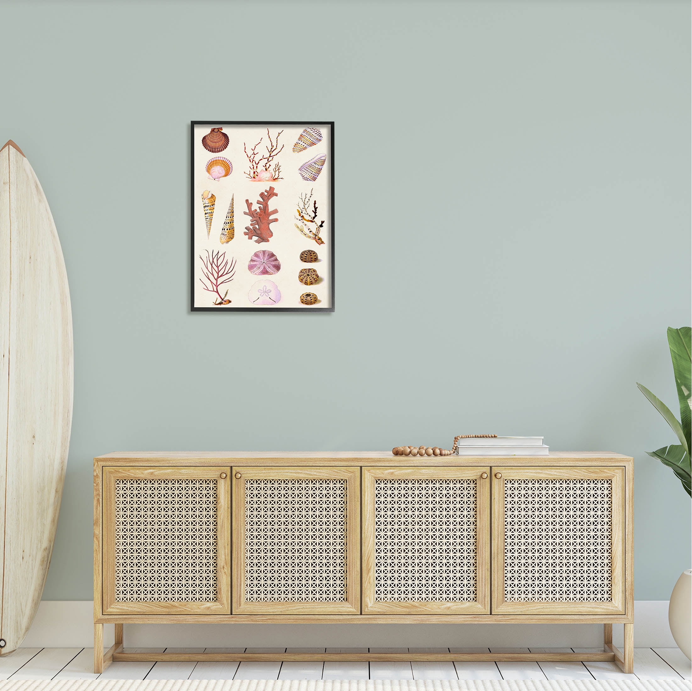 Stupell Industries Mixed Nautical Sea Life Corals Shells Graphic Art Black Framed Art Print Wall Art, Design by Vision Studio
