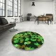 thumbnail image 4 of Ahgly Company Machine Washable Indoor Square Transitional Dark Forest Green Area Rugs, 5' Square, 4 of 7
