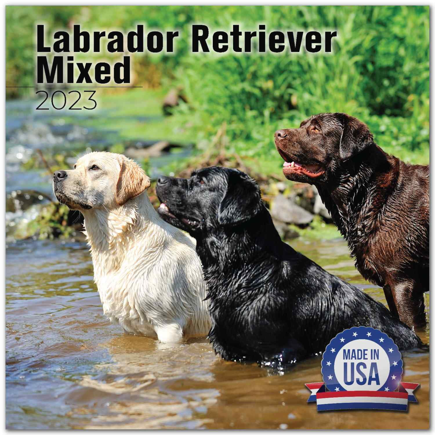 2022 2023 Labrador Retriever Calendar Mixed - Dog Breed Monthly Wall Calendar - 12 x 24 Open - Thick No-Bleed Paper - Giftable - Academic Teacher's Planner Calendar Organizing & Planning - Made in USA