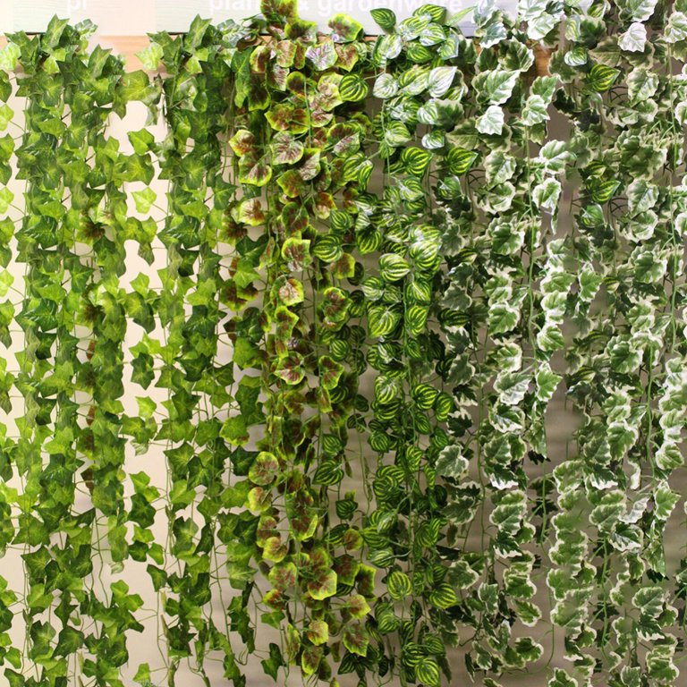  Abaodam Artificial Green Leaf Garland Indoor Plants Plastic  Vines Green Plants Decorative Vines Artificial Greenery Fake Vine Garland  Ivy Leaf Plants Hanging Decor Simulated Ivy Pp Twine : Home & Kitchen