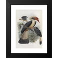 thumbnail image 2 of Daniel Giraud Elliot 11x14 Black Modern Framed Museum Art Print Titled - Penelopides Panini (1882), 2 of 5