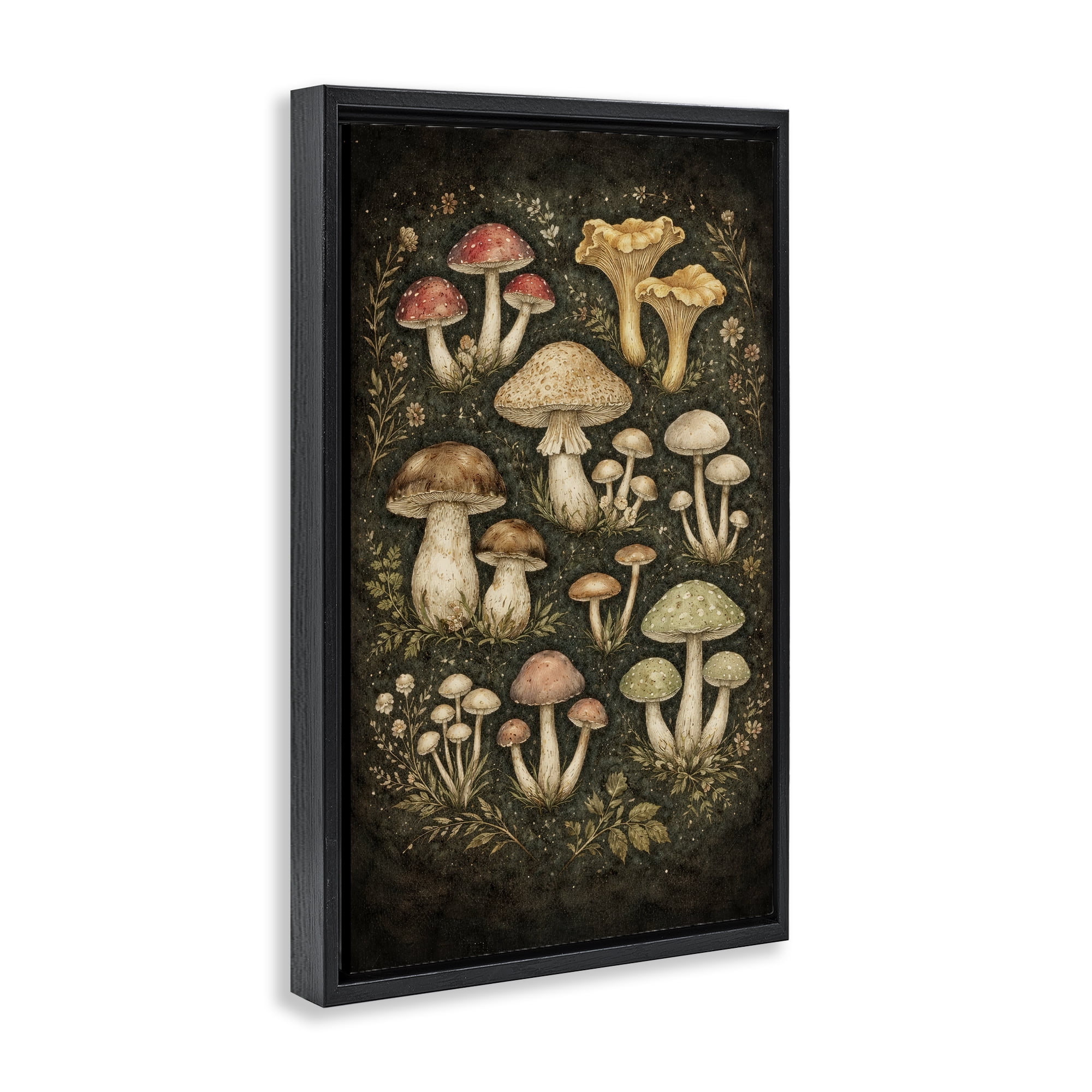 Stupell Industries Organic Sprouting Mushrooms Black Framed Floater Canvas Wall Art, design by Tom Crehan