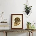 thumbnail image 5 of Sealife Collection V - Framed Print w/glass - Chestnut, 5 of 7