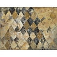 thumbnail image 3 of Pinto, Patricia 24x19 Black Modern Framed Museum Art Print Titled - Harlequin, 3 of 5