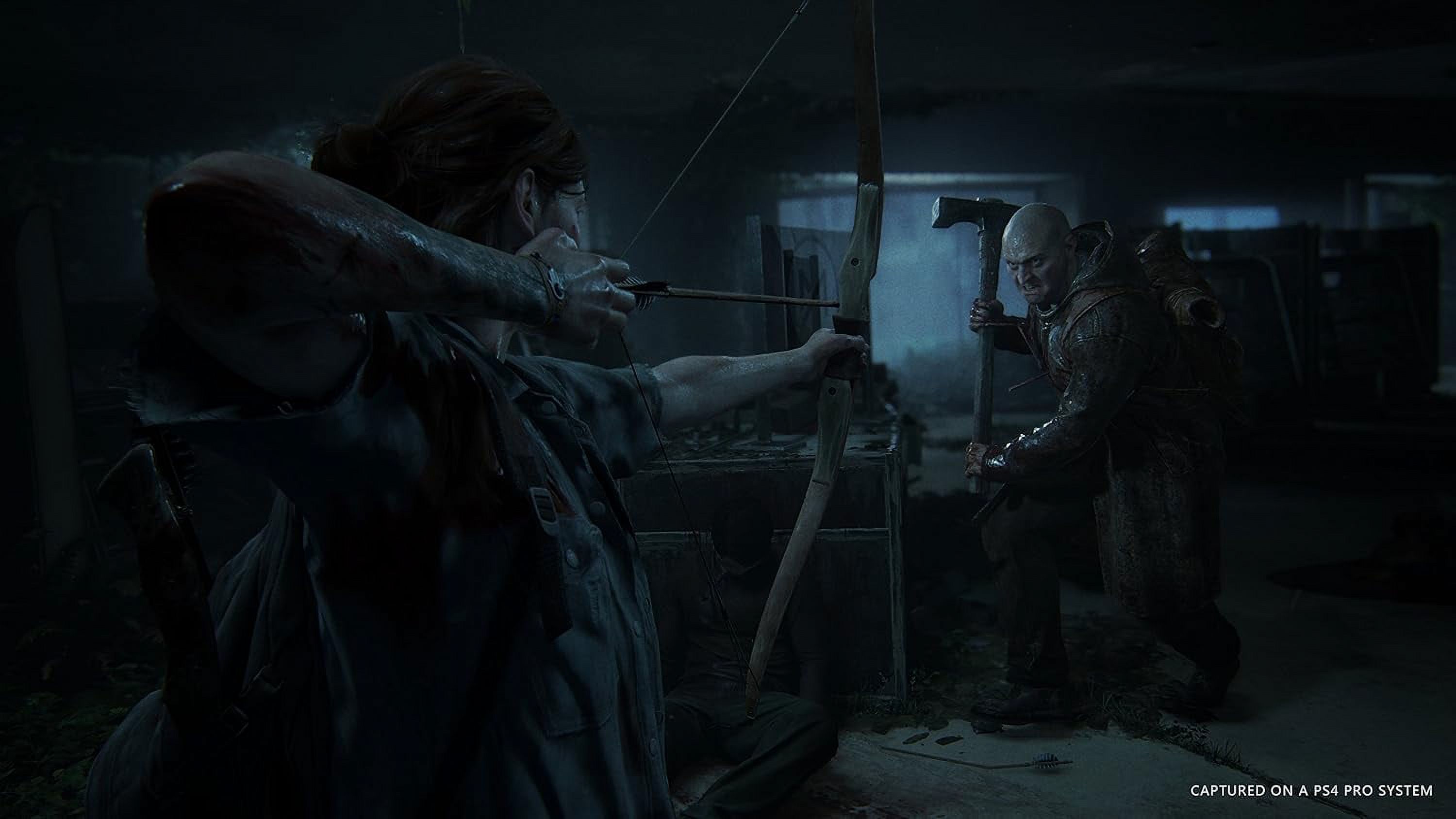 The Last of Us Part ll - PlayStation 4 - image 3 of 6