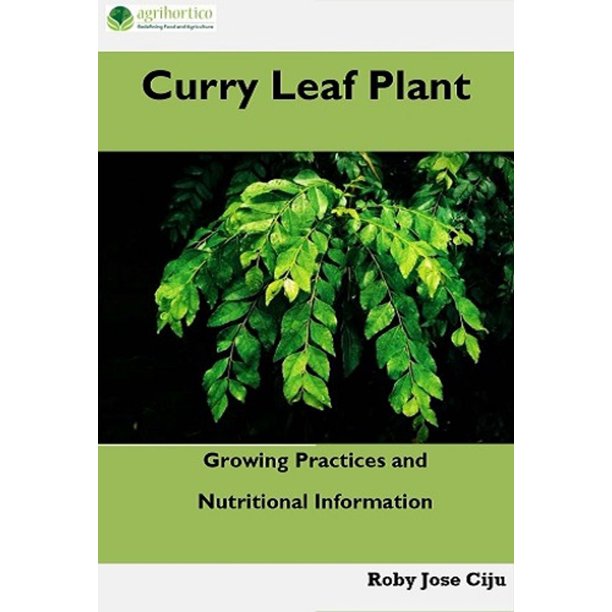 Curry Leaf Plant Ebook Walmart Com Curry Leaf Plant Ebook Walmart Com