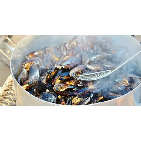 Meal Seafood Cook Delicious Mussels Steam Pot-20 Inch By 30 Inch Laminated Poster With Bright Colors And Vivid Imagery-Fits Perfectly In Many Attractive (Best Way To Cook Mussels)