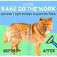 thumbnail image 5 of Cepillo de aseo para mascotas - Peine rastrillo de doble cara para quitar el pelo suelto y desenredar la capa interna de perros y gatos, 17 + 9 dientes laterales, extra ancho, azul, cepillo de aseo pa, 5 of 5
