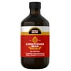 Maple Bacon Cold Brew, Iced Coffee, Hot Coffee Christopher Bean Liquid Java (16 Ounce Bottle) Makes 48-62 Cups