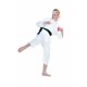 thumbnail image 1 of RG Costumes Disfraz de Karate Boy Blanco Grande RG Costumes 54225900072, 1 of 1