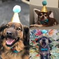 thumbnail image 3 of SM Pet Birthday Party Hat Set - Blue, 2-Piece, Cute Bowknot Design with Adjustable Rope, 3 of 4