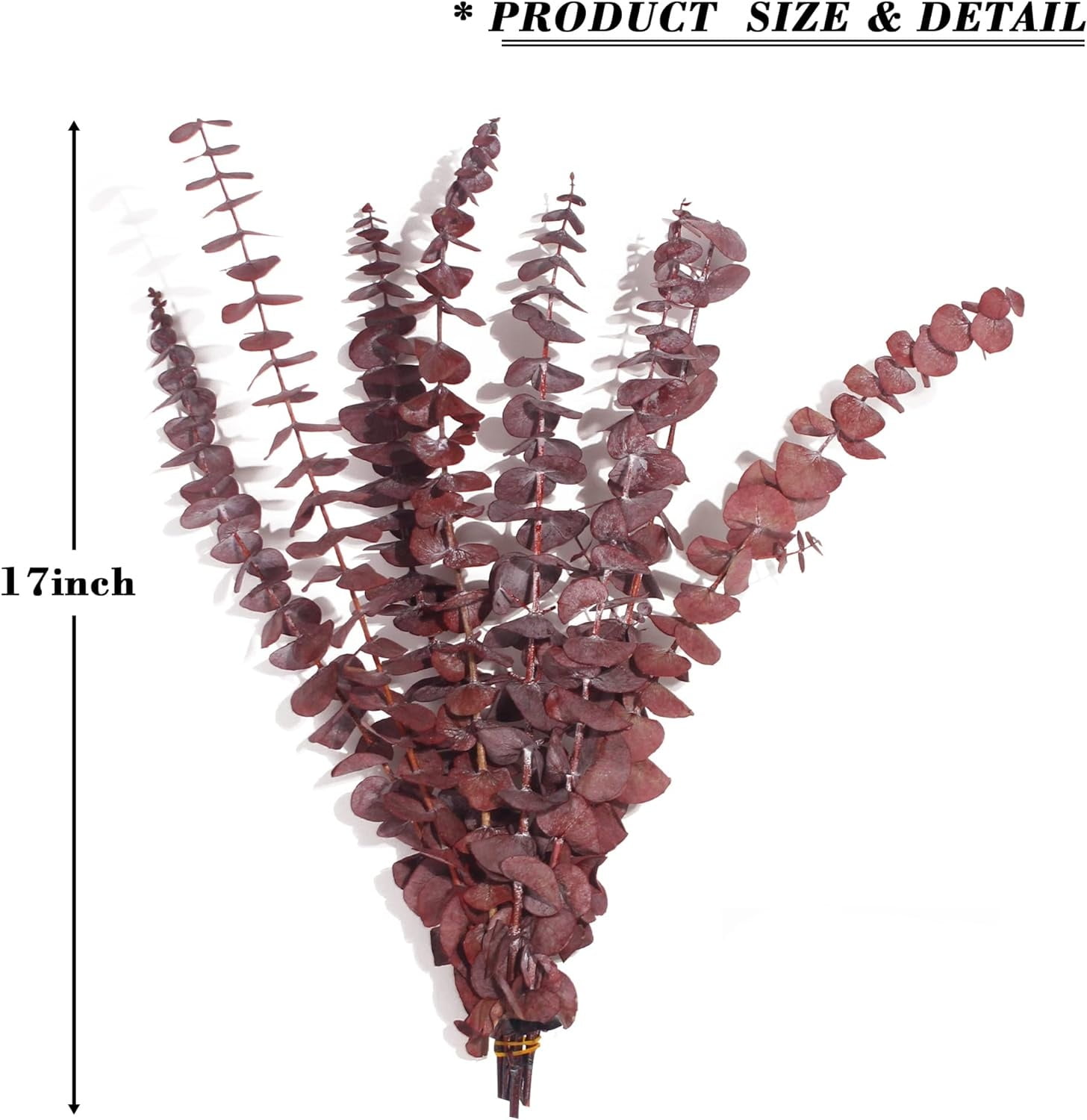 20 PCS Dried Eucalyptus Bundle,100% Natural Fresh Eucalyptus Stems, 17" Real Shower Eucalyptus Hanging, Ideal for Vase Filler, Bathroom Aromatherapy, Wedding Decor,Red