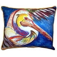 thumbnail image 1 of Pelican Wing Large Indoor/Outdoor Pillow 16x20, 1 of 3