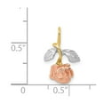 thumbnail image 3 of 14K Two-Tone Gold Charm Pendant 18 mm 11 With White & Rose Rhodium Chain Slide, 3 of 3
