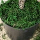 thumbnail image 3 of Bewildely 300g Artificial musgo falso secado verde ladrillo liquen bloque plantas decorativas jardín centros de terrarios Decoración Plantas Artificiales Bewildely  HA084196-00, 3 of 6