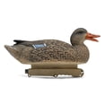 thumbnail image 6 of Final Approach HD Series Floating Mallard Duck Decoys, 12 Pack, 6 of 9