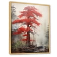 thumbnail image 2 of Designart "Enchanting Redwood Forest" Tree Redwood Floater Framed Canvas Prints, 2 of 5