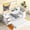 White, variant on Wood Daybed - No Spring Box Required - Guest Bedroom - Low - Maintenance
