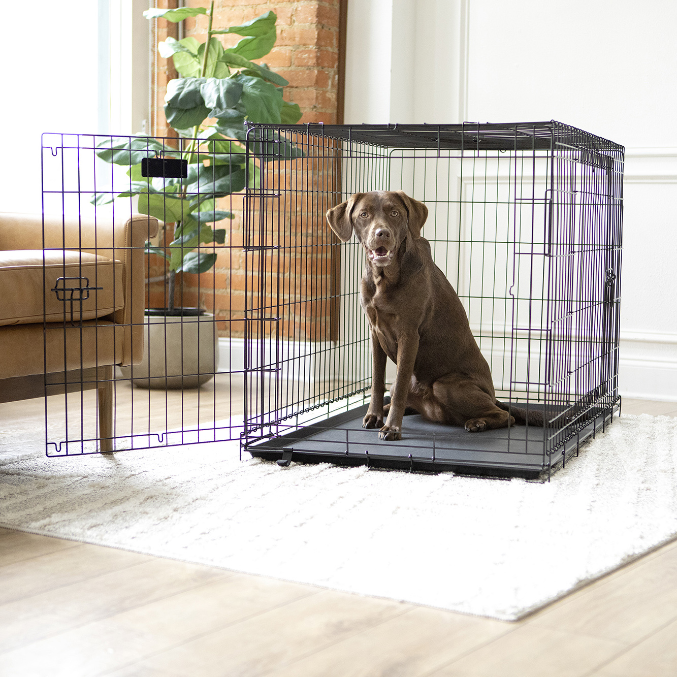  Vibrant Life Double-Door Folding Dog Crates with Divider, (Choose Size)