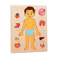 thumbnail image 1 of Casse-tête de Structure Humaine Jouet d'Apprentissage pour Enfants Modèle d'Organe d'Anatomie Jouet d'Anatomie pour Enfants Jouets d'Éducation d'Organe Humain Enseignement d'Organe Humain-a, 1 of 4