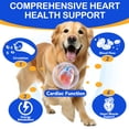 thumbnail image 6 of Oimmal Taurine Drops for Dogs, 2 fl oz (60 ml), Liquid Amino Acid Supplement, Helps Support Heart & Muscle Function, Daily Vitality for All Breeds, Natural Flavor, 6 of 10