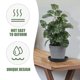thumbnail image 3 of BESTYASH 20Ud Para Macetas De Suculentas Negro Antideslizante Para Plantas, 3 of 8