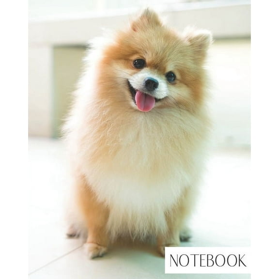 Large College Ruled Notebook: Cute Pomeranian Dog (Paperback)