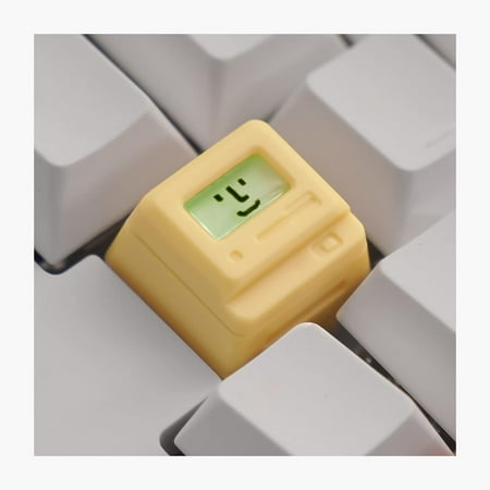 Custom Keycaps - Light Transmission Keycaps - Classic Retro Mechanical Backlit Keyboard Keycap. Suitable for Most MX Switches RGB PC Gamer Mechanical Keyboard