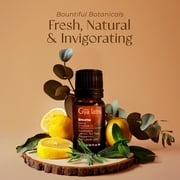 Gya Labs Breathe Essential Oil Blends - Breathe Easy Essential Oils from Eucalyptus, Peppermint and More for Humidifier Cleaner (0.34 Fl Oz)