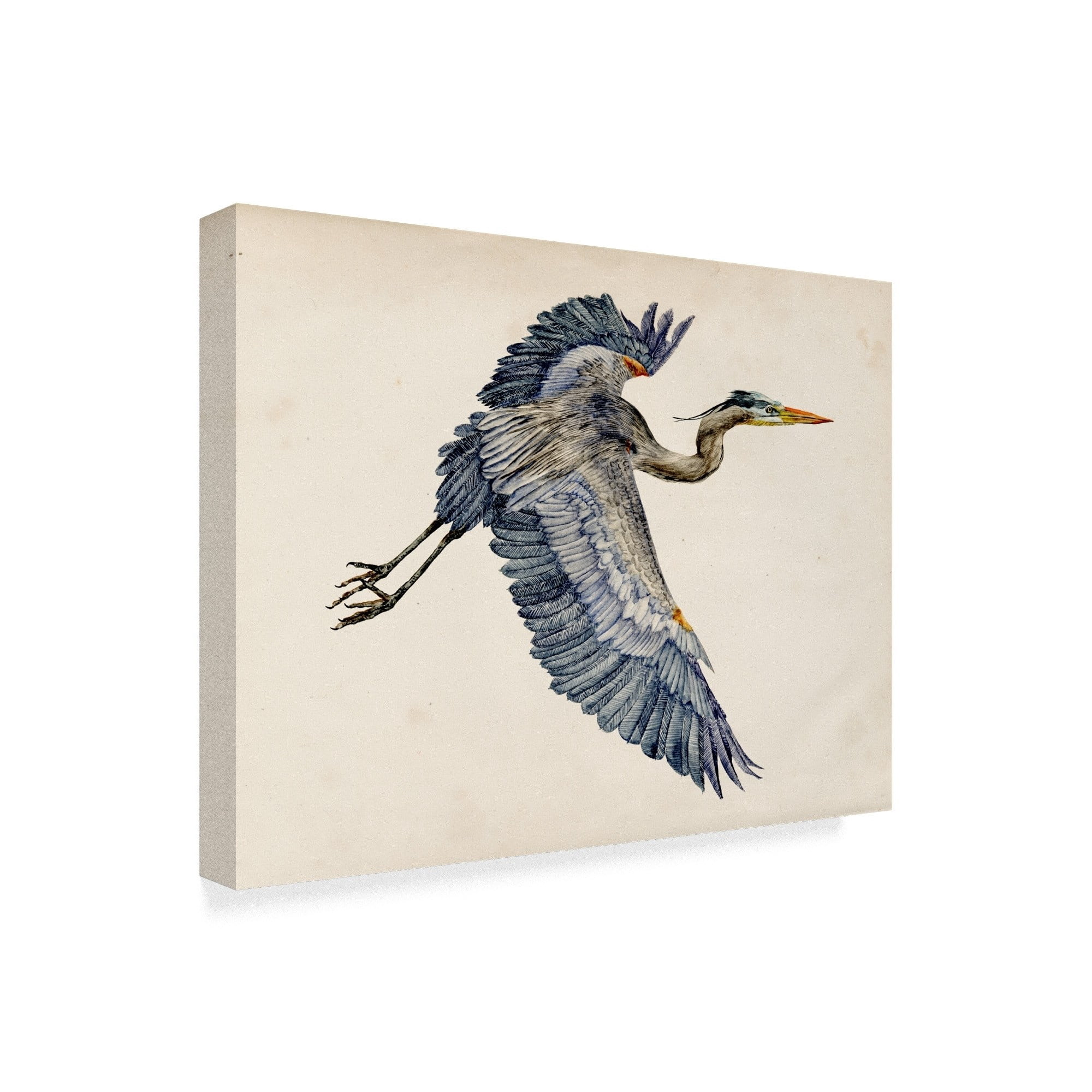 Trademark Fine Art 'Blue Heron Rendering IV' Canvas Art by Melissa Wang