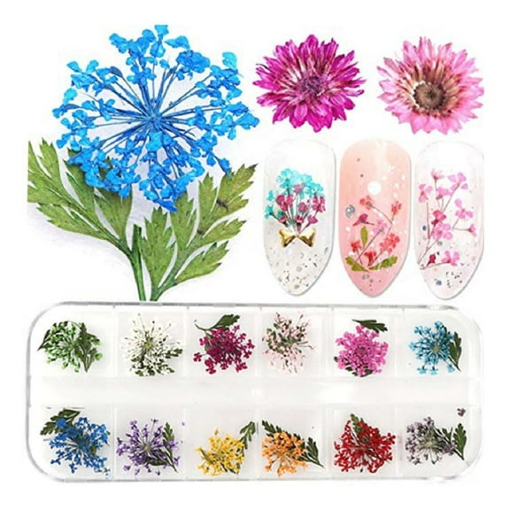 12-Color Real Dried Flower Nail Art Set – 3D DIY Manicure Decorations for Unique, Salon-Quality Nails TIKA
