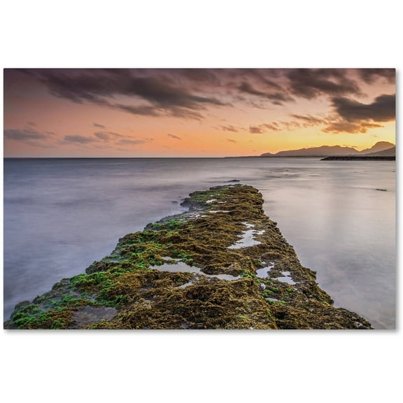 Trademark Fine Art 'Sunset Reef' Canvas Art by Pierre Leclerc