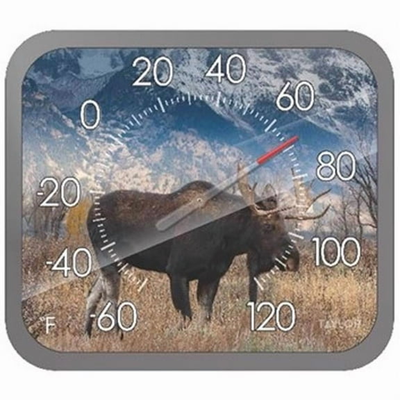 Taylor Moose Dial Thermometer Plastic Multicolored 14 in. 4 Pack