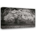 thumbnail image 1 of Vitaly Geyman 32x23 Gallery Wrapped Canvas Wall Art Titled - Autumn In Paris BandW, 1 of 4