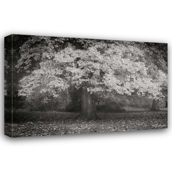 Vitaly Geyman 32x23 Gallery Wrapped Canvas Wall Art Titled - Autumn In Paris BandW