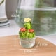 thumbnail image 3 of 4 Piezas de Adornos Interiores para AutomóViles, Figuras ArtíSticas de Cactus, DecoracióN del Hogar, Adornos de Cactus de Plantas en Miniatura para Manualidades de Escritorio A, 3 of 5