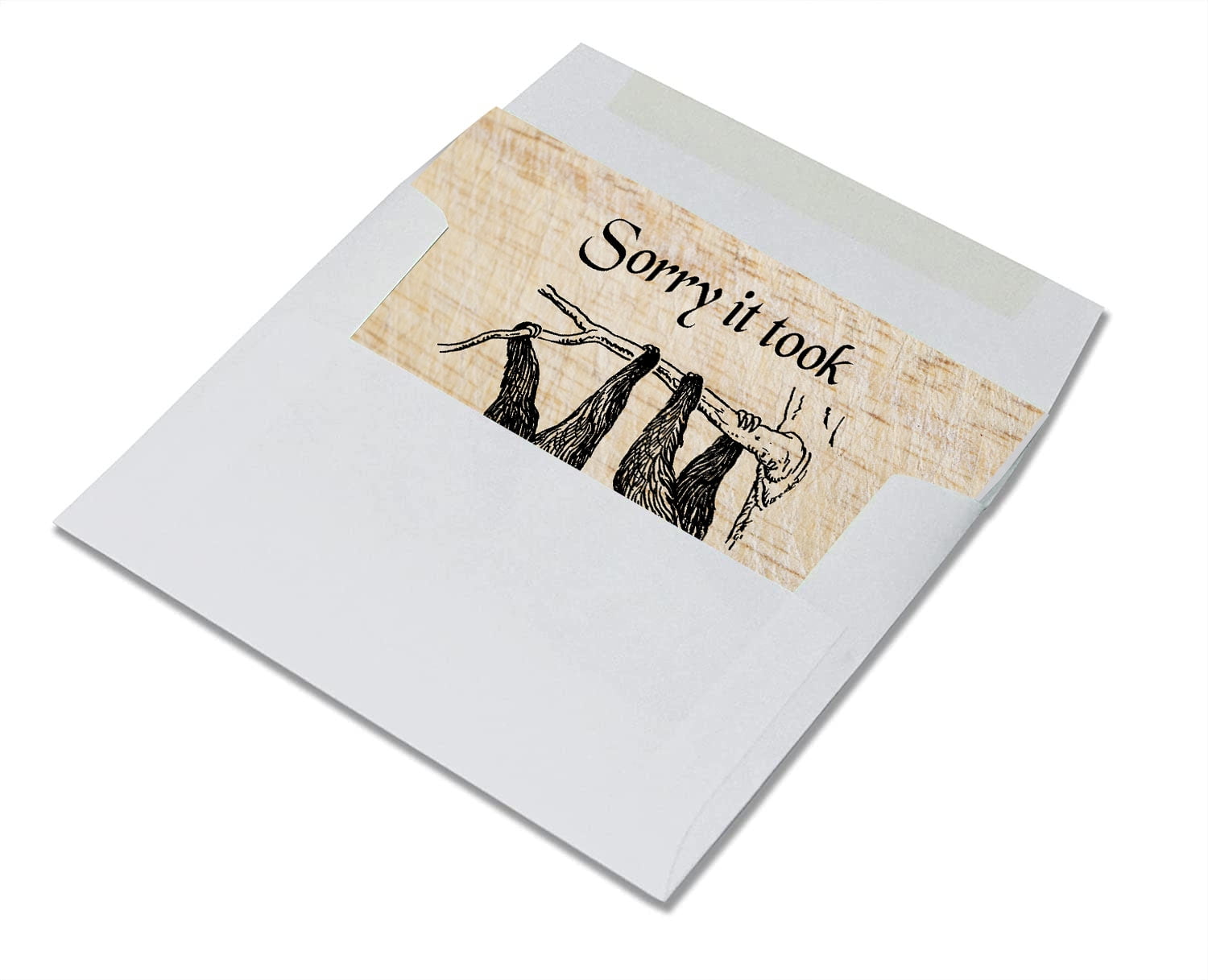 Oops! Apology Sorry Greeting Card - Blank on the Inside - Includes 12 Cards  and Envelopes - 5.5x4.25