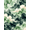 Green, Pattern 2, variant on ODIKA 4'x6' Machine Washable Non-Slip Area Rug, Abstract Green High Traffic Rug, Green, 1120099
