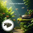 thumbnail image 3 of Aquarium Landscape Rockwork, 7.9 in Resin Reptile Hiding Hole, Fish Tank Decoration, Climbing Sunbathing Platform, Simulated Cave, Easy to Clean for Turtle, Lizard, and Other Reptiles, 3 of 8