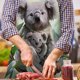 thumbnail image 4 of Delantal de lino con estampado de osos Koala, baberos de cocina impermeables, delantal para chefs adultos Tmvgtek Para estrenar, 4 of 8
