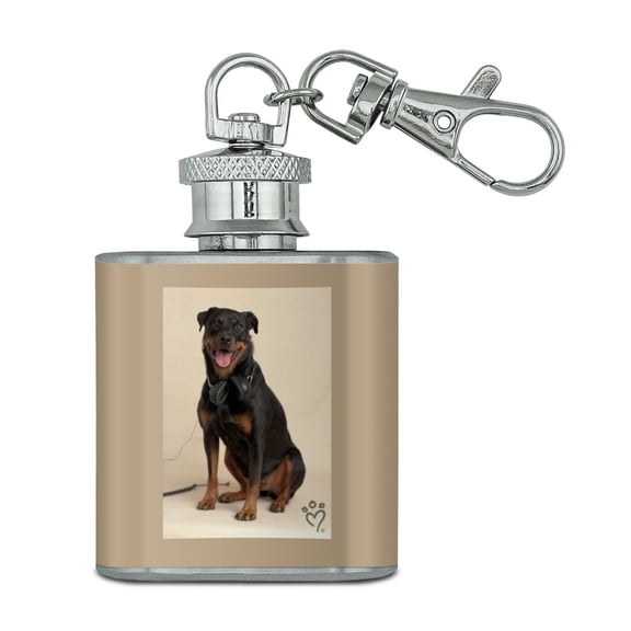 Rottweiler Dog Headphones Sitting DJ Stainless Steel 1oz Mini Flask Key Chain