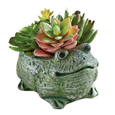 Collections Etc Charming Frog Planter with Artificial Succulents